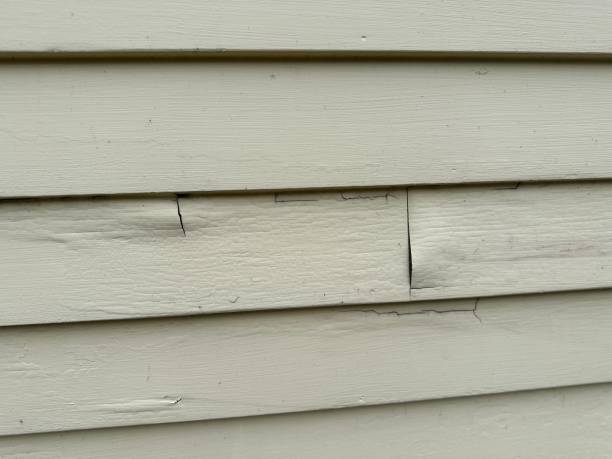 Storm Damage Siding Repair in Union Park, FL